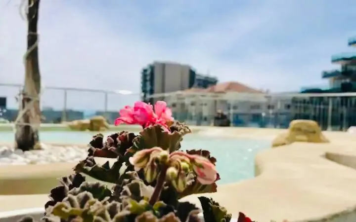Luxury Ocean Spa Plaza Private Large 1 Bed Apartment Gibraltar Gibraltar